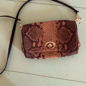 Faux Snake Skin Clutch